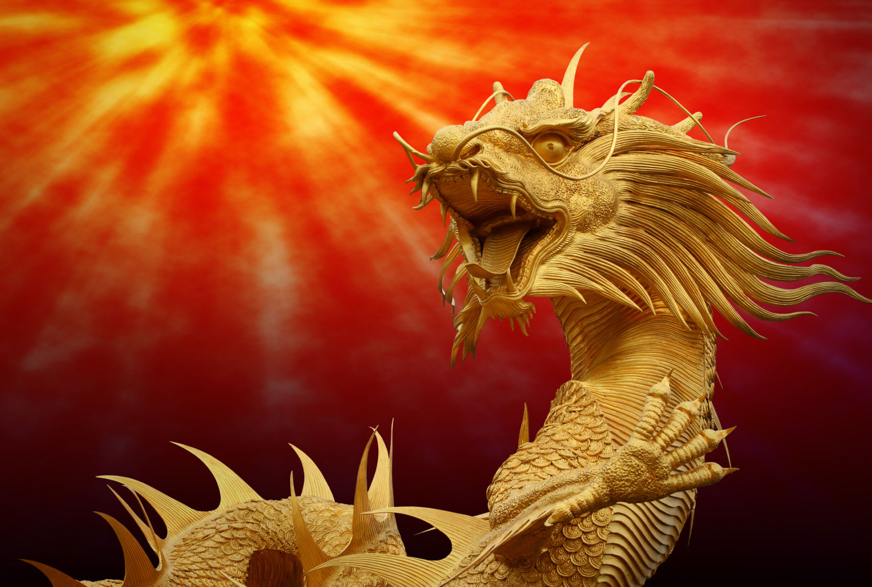 Chinese dragon | NBN